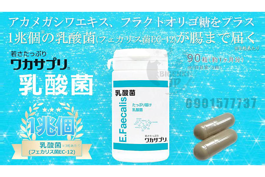 Viên uống lợi khuẩn Acid Lactic Wakasa Nhật Bản