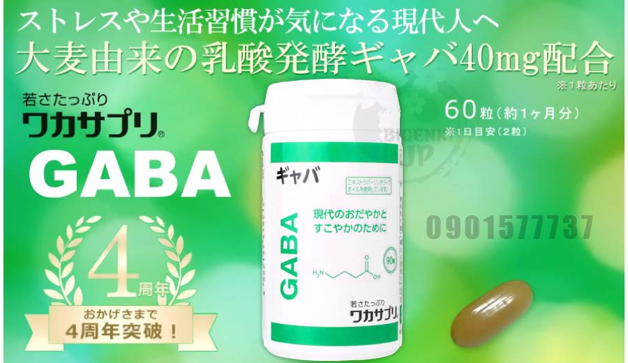 Viên uống bổ não GABA Wakasa Nhật Bản